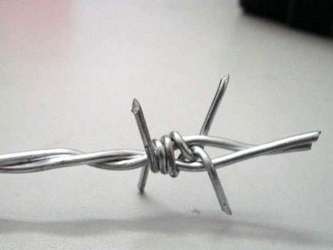 刺绳